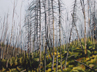 Controlled Burn